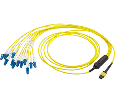 OFNR, Tsawg Insertion Poob, Cable Diameter 3.5mm MPO Txiv neej rau 12 LC Duplex 24 Fibers OS2 9/125 Singlemode